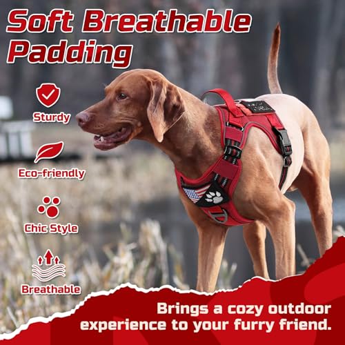 Tactical Dog Harness for Medium (Red / Medium)