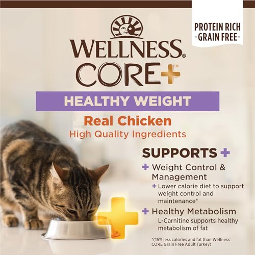 CORE+ Healthy Weight Adult Dry Cat Food (4.75 Pound (Pack of 1))