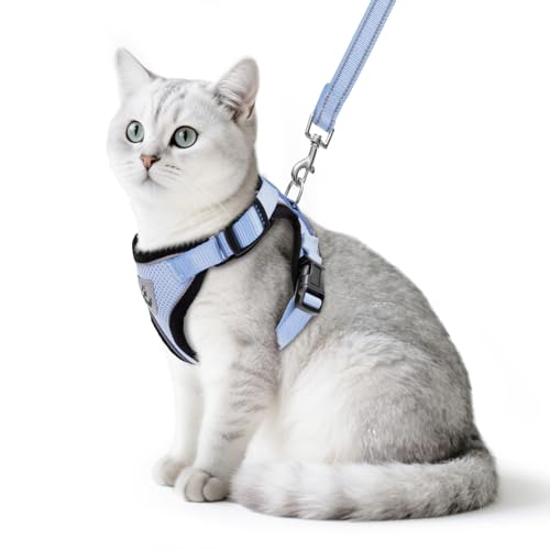 Cat Harness and Leash Set Escape Proof Reflective Cat Walking Harness Adjustable Soft Breathable Mesh Vest for Small Pets (M (NECK 11"-13.7", CHEST 16"-20") / Sky Blue)