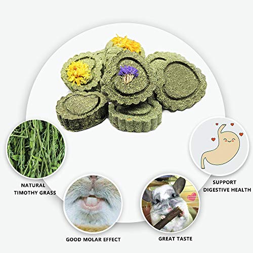 Bunny Chew Toys for Teeth (1 Pack Timothy Hay Circle)