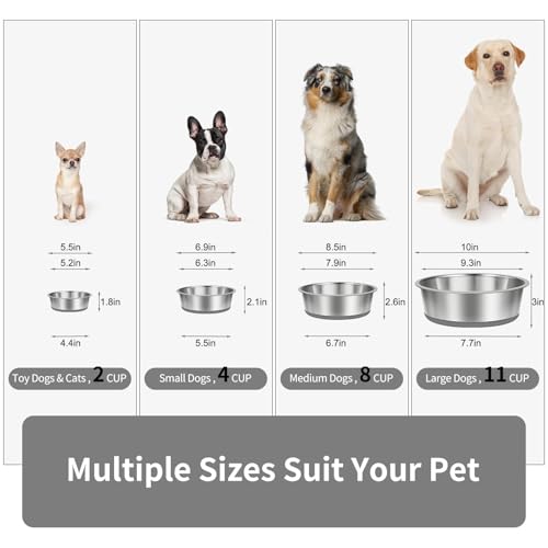 Stainless Steel Dog Bowls Set of 2 (11 CUP / Gray)