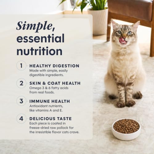 Limited Ingredient Diet Dry Cat Food (4.5 Pound (Pack of 1))