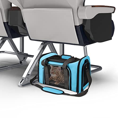 Large Cat Carriers Dog Carrier Pet Carrier for Large Cats Dogs Puppies up to 25Lbs (20.0"L x 13.0"W x 13.0"H / Blue)