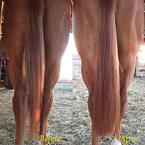 Horse Tail Extensions with Braided Horsehair Loop (3/8 LB (28"-30") / Light Sorrel)