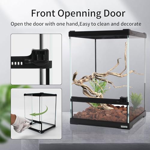 Mini Reptile Glass Terrarium Tank 8"*8"*10" Full View with Front Opening Door (8x8x10 inch)