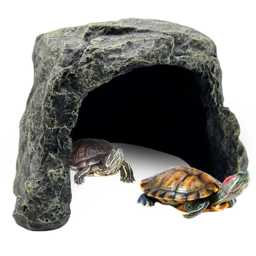 Reptile Hideout