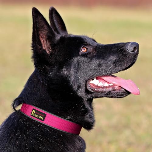 Tactical Dog Collar (L / Hot Pink)