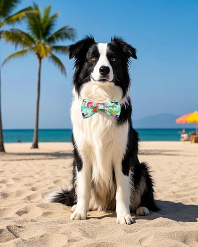 10 Pack Hawaiian Dog Bowties for Large Dogs Sliding on Collar (M/L)