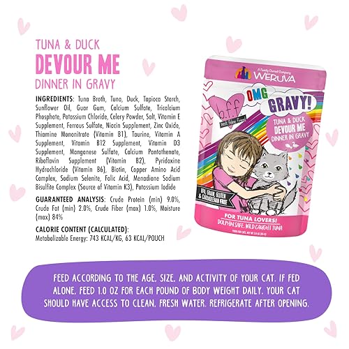 B.F.F. OMG Best Feline Friend Oh My Gravy! (3 Ounce (Pack of 12))
