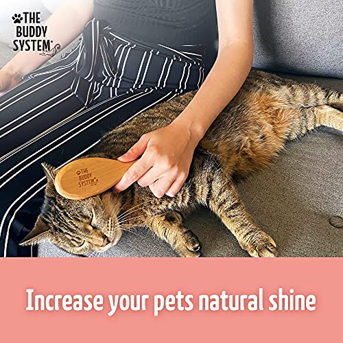 Soft Cat Brush with Boar Bristles (1 Count (Pack of 1))