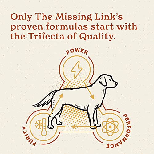 Digestion Superfood Supplement Powder for Dogs & Cats