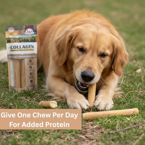 Venison Collagen Cheek Rolls 10" Chews 3pk Pig Ears Substitute (11 Ounce (Pack of 3))