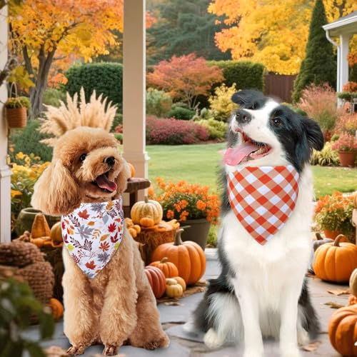 Fall Dog Bandanas XLarge 3PCS (thanksgiving / X-Large)