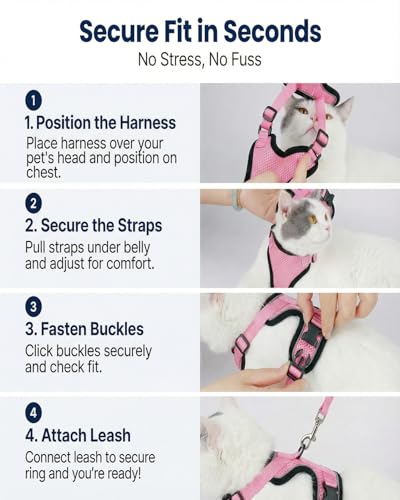 2 Pack Escape (Pink / M)