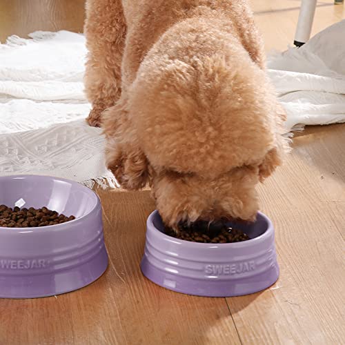 Sweejar Gradient Dog Bowl (Small (8oz) / Gradient Purple)