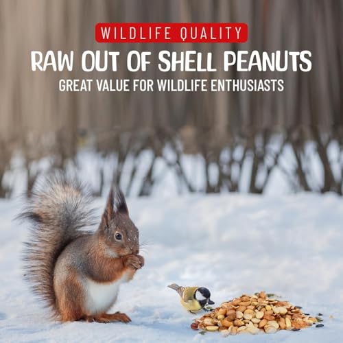 Raw Out of Shell Peanuts (11 Pound (Pack of 1))