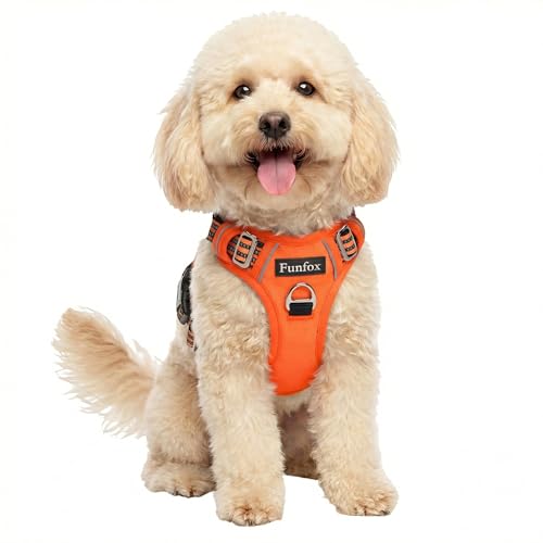 Dog Harness No Pull (Orange / Small)