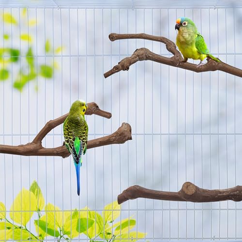 5PCS Bird Perch Natural Wood Grape Stick Stand Chewing Exercise Branches