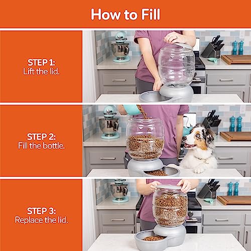 Replendish Automatic Cat and Dog Feeder (Pearl Peacock Blue / 10 LB)