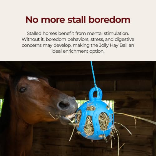 Horsemen's Pride Jolly Hay Ball Stall Toy for Horses (Blue / 8")