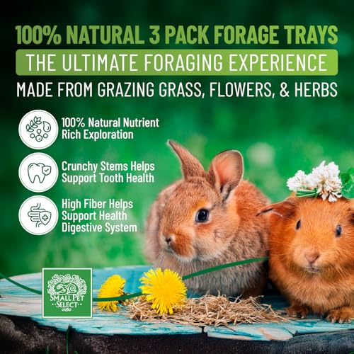 Forage Tray Bundle