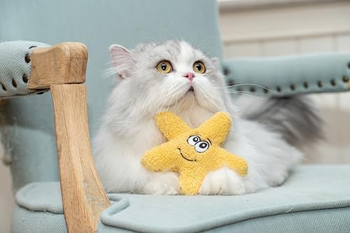 Interactive Catnip Cat Plush Toy (Starfish)