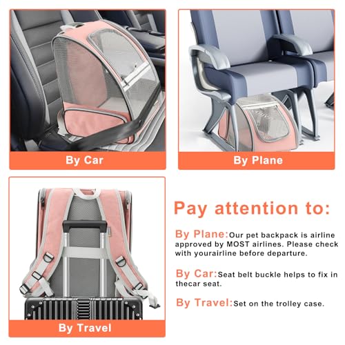 Innovative Traveler Bubble Backpack Pet Carriers for Cats and Dogs (Expandable-Pink)