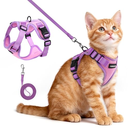 Cat Harness and Leash Set (Pink & Purple / Xs)