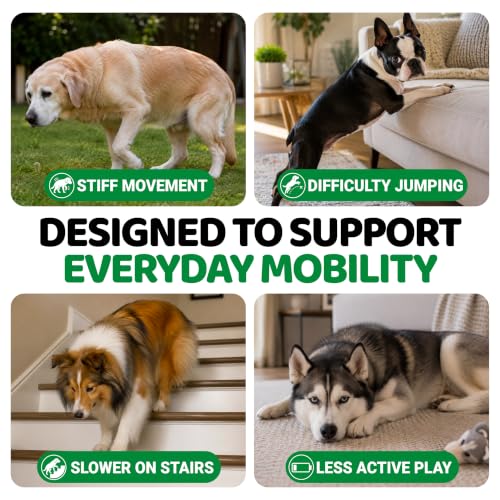 Hemp Hip and Joint Supplement for Dogs (Hemp Hip & Joint Chews / 170 Treats)