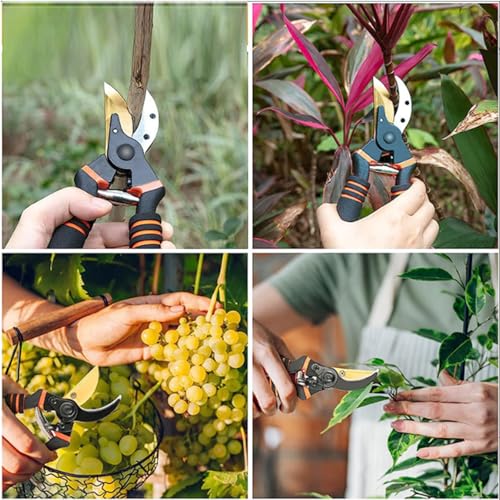 Germany Pruning Shears For Gardening (Red/Black)