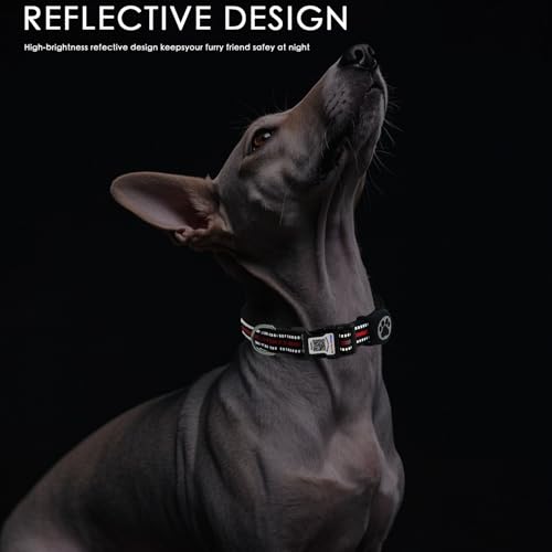 Dog Collar with Tracker Holder and QR Code ID (Red / S (10-15"))