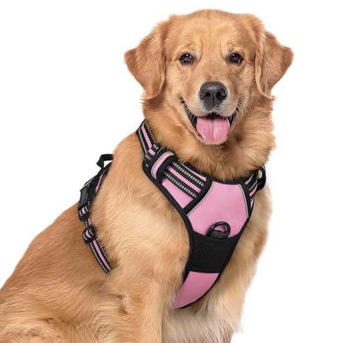 Dog Harness No Pull with 2 Leash Clips (X-Large / Pink)
