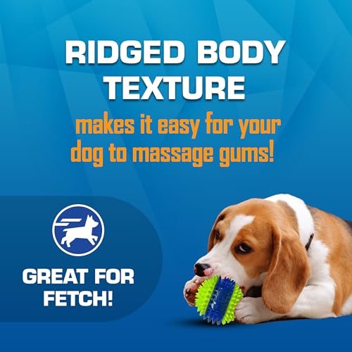 Toy Gift Set 3