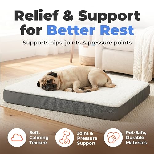 Orthopedic Dog Bed with Memory Foam (Gray / 35" x 22" x 4")