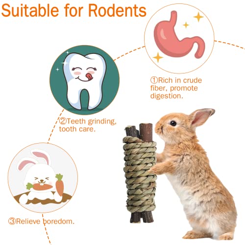 12 PCS Guinea Pigs Chew Toys