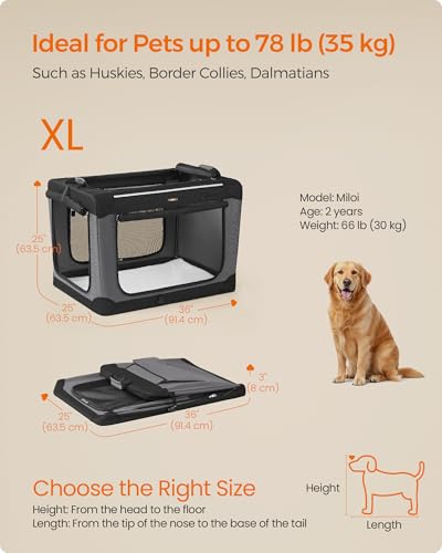Collapsible Dog Crate (XL（36"L x 25"W x 25"H))