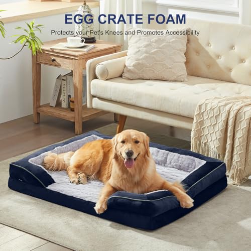Orthopedic Medium Dog Bed (35.0''l x 25.0''w x 6.5''th / Blue)