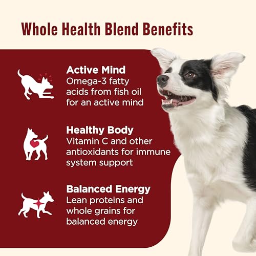 Dry Dog Food Beef (6 Pound (Pack of 1))