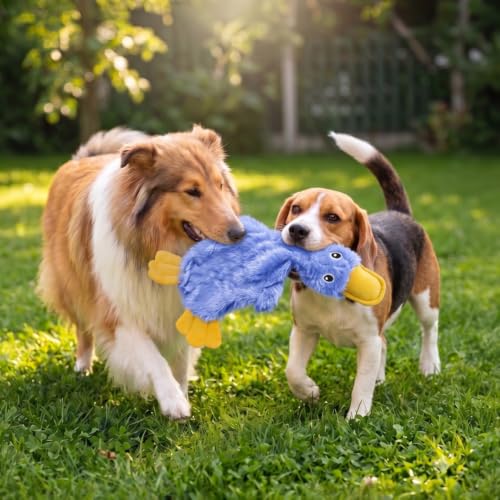 Interactive Squeaky Dog Toy (Crinkle Duck (Blue) / Large)