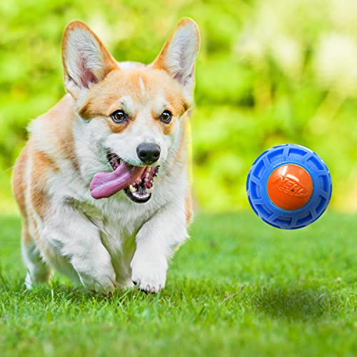 3in TPR EXO Squeak Ball (3 inches)