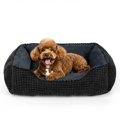 Rectangle Washable Orthopedic Dog Bed for Small (Black / S(20’’x 19’’x 6’’))