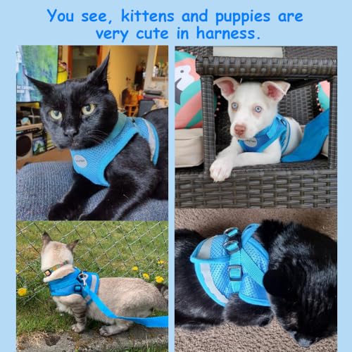Cat Harness and Leash Set (M (Chest: 12" - 14") / SkyBlue)