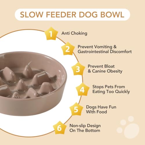 Elevated Slow Feeder Dog Bowls (Brown Coffee)