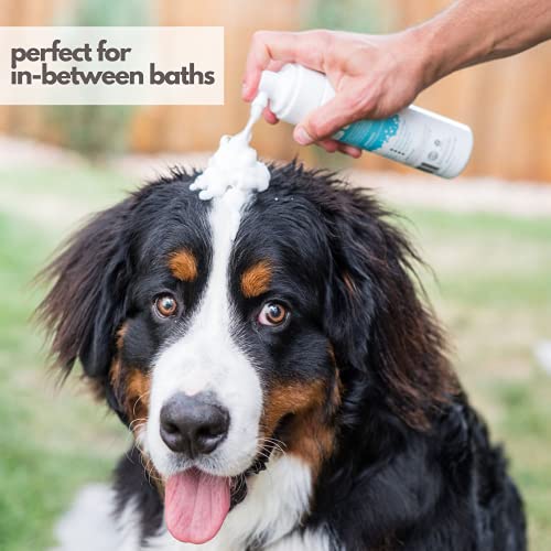Hypoallergenic Waterless Dog Shampoo (8 Fl Oz / Spring Meadow)