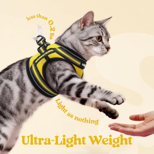Cat Harness and Leash Set (M / Bright Yellow)