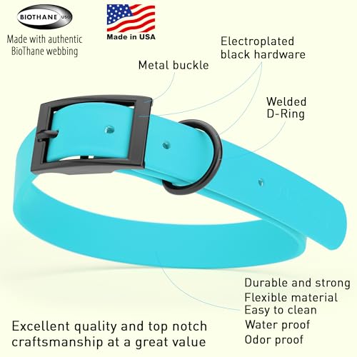 Biothane Waterproof Dog Collar Strong Coated Nylon Webbing with Black Hardware Odor (W1" x L18-22" / Sky Blue)