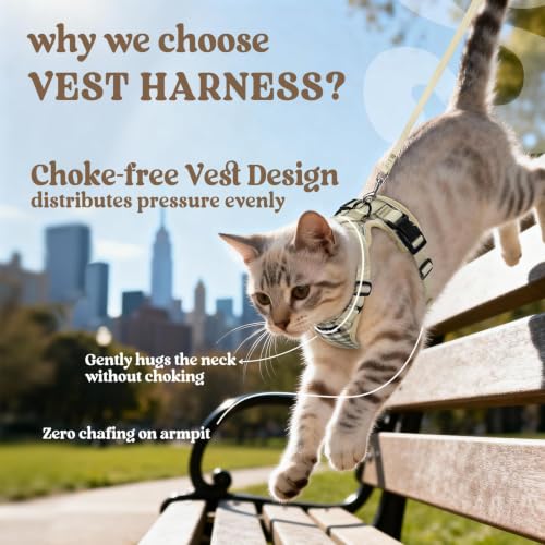 Cat Harness and Leash Set (M / Foamy Coffee)
