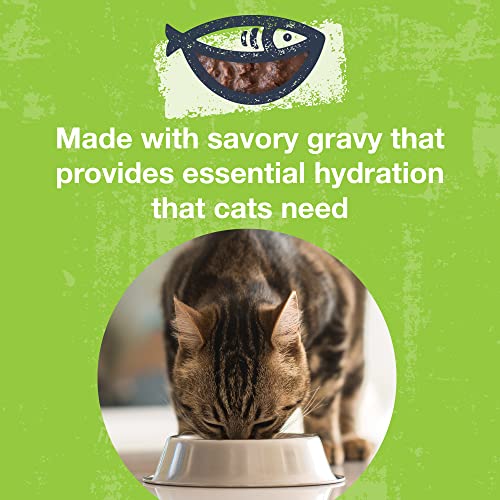 Poké Bowl Tuna & Duck Entree in Gravy for Cats (3 Ounce (Pack of 12))