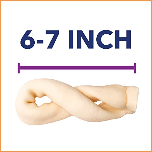 CareChewz Collagen 6 (6 Count (Pack of 1))