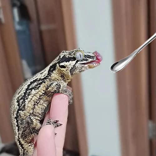 2Pcs Crested Gecko Feeding Spoon (0.5 Ounce (Pack of 2))